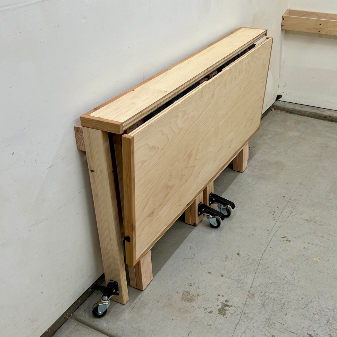 COMPLETE Workshop Plan Bundle - Written AND Video